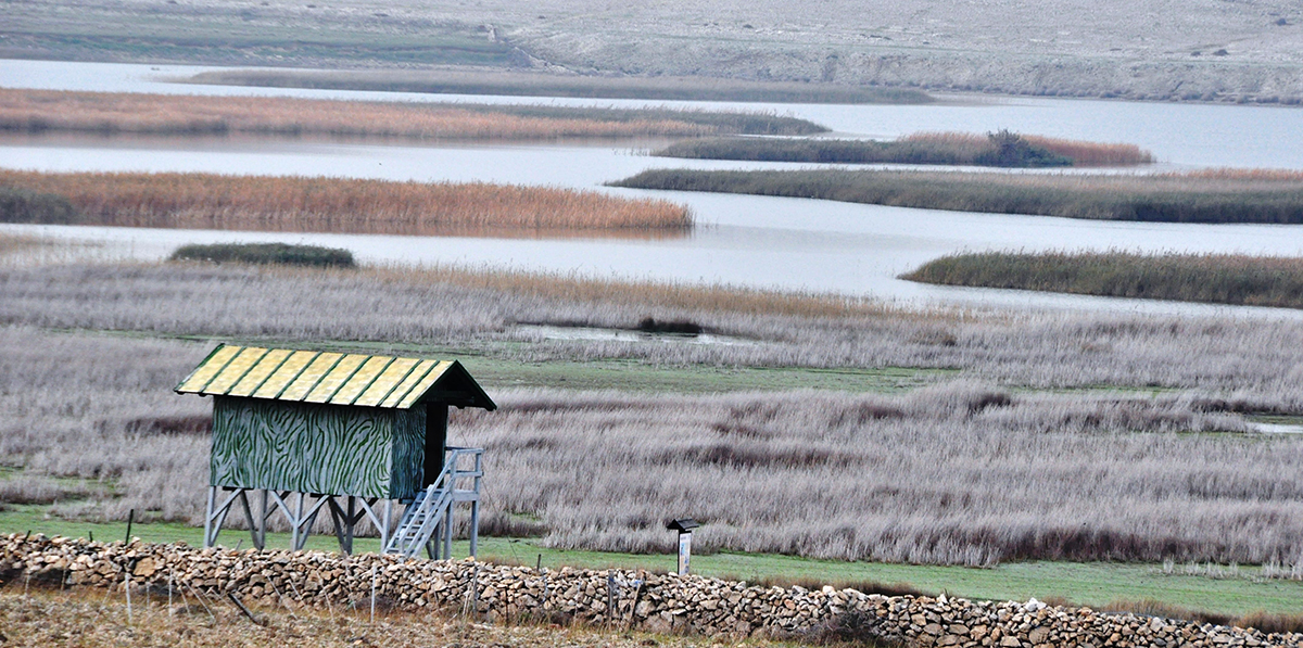 Ornitološki rezervat Veliko blato